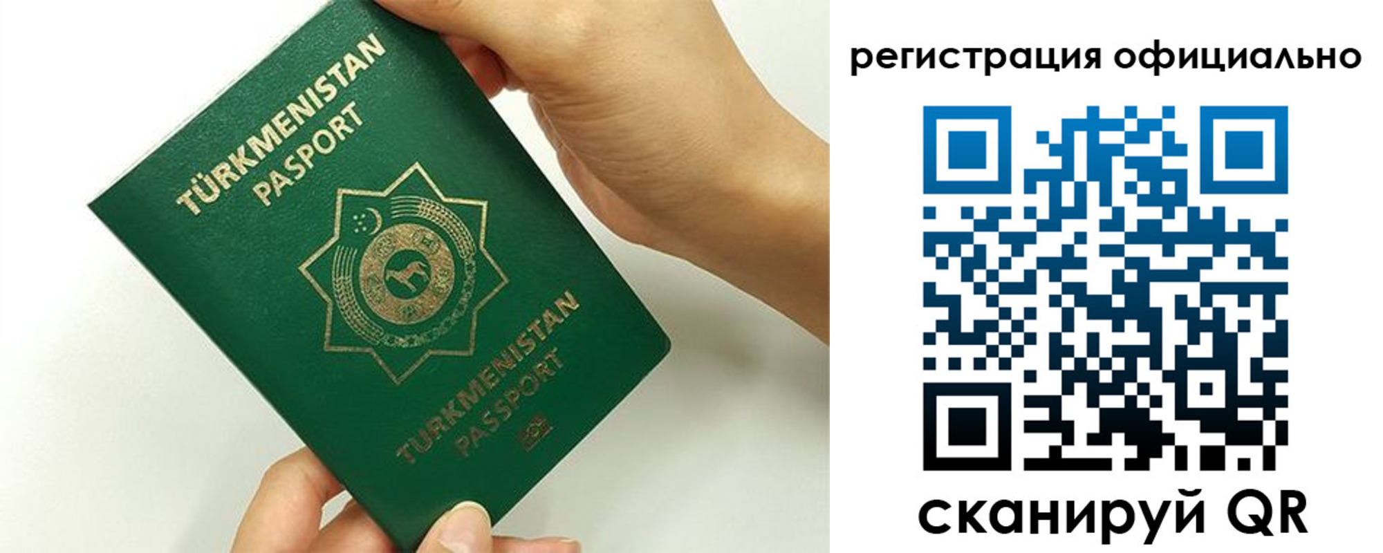 прописка поиск в Звенигово